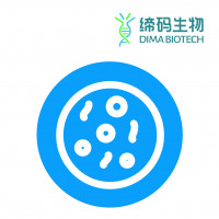 稳转细胞株/Canine_PDL1 293T Cell Li