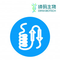 Human RSK1 p90 (RPS6KA1) (NM_0