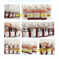 热灭活马血清 26050-088