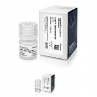 SYBR™ Select Master Mix4472908