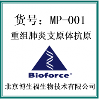 重组肺炎支原体抗原（MP）
