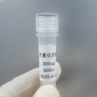 ELEMAb™ K-ε-GG抗体琼脂糖珠