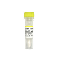 dNTP Mixture each 10mM solutio