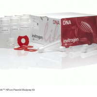 Invitrogen™ PureLink™ HiPure P