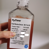 SH30160.03 Hyclone南美胎牛血清