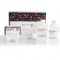 Pierce™ Dilution-Free™ Rapid G