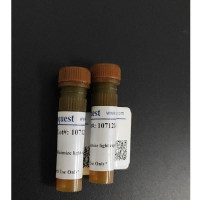 Cell Counting Kit-8 (CCK-8) 细胞