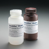 Immobilon Western 化学发光 HRP 底物