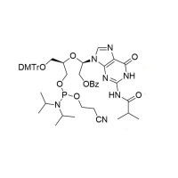 UNA-G(iBu) phosphoramidite