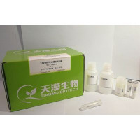 土壤/粪便基因组DNA提取试剂盒