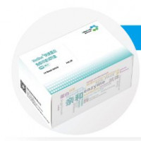 welbox快速蛋白免疫印迹试剂盒