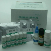 副溶血性弧菌核酸检测试剂盒（恒温荧光法）