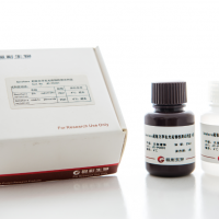 Genshare超敏化学发光底物检测试剂盒
