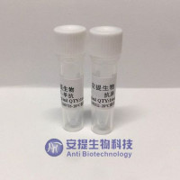 猫A型血凝集素