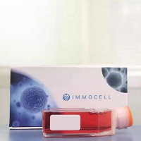 小鼠胰腺星状细胞丨逸漠(immocell)