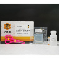 小师弟 6孔琼脂糖电泳试剂盒（1.5%高压超快）V101-U