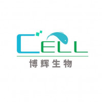BCPAP细胞系