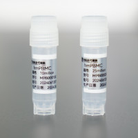 人动员外周血单个核细胞（hmPBMC)）
