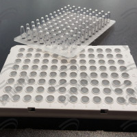 适合荧光定量PCR板 qPCR 96孔板