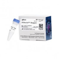 Gibco™ 293fectin™ 转染试剂