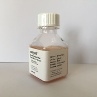 CellMax去外泌体胎牛血清（澳大利亚）