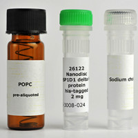 已组装纳米磷脂盘试剂盒Nanodisc  MSP1D1 dH