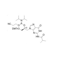 N2-iBu-G-(S)-GNA phosphoramidi