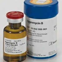 Roche货号10843555001潮霉素B(Hygromy