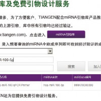miRNA检测引物系列