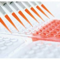DRNAzolTM 血清病毒DNA/RNA 提取试剂