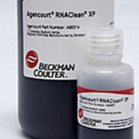 Agencourt RNAClean XP- cDNA和cR