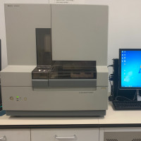 大豆品种真实性和纯度SSR分子标记检测试剂盒