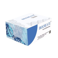 Protein G  IP kit
