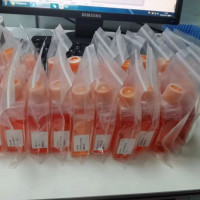 NCCIT人畸胎癌细胞（附STR鉴定报告）
