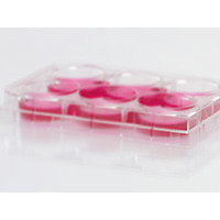人抗原肽PepTivator MBP Isoform 5