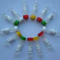 Sulfasalazine  柳氮磺吡啶