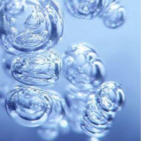 聚谷氨酸钠
