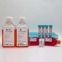 产黑色素短梗霉菌Aureobasidium melanoge