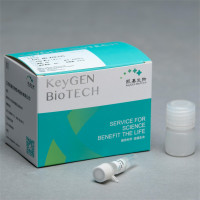 PCR Mix（2×）