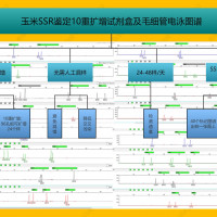 种子SSR鉴定（真实性鉴定、纯度鉴定）及混扩试剂盒