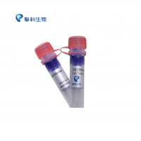 DL5000 DNA Marker/核酸电泳系列试剂/独特研