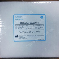 10534612 Whatman沃特曼903 PROTEIN