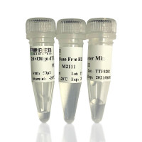 麦伯生物 Magic 1st cDNA Synthesis