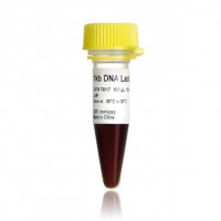 1 kb DNA Ladder