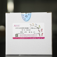 APPLYGEN变性预制胶（15%Hepes10孔）、T20