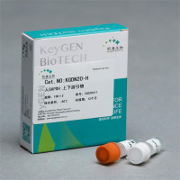 GAPDH上、下游引物(10μM)（Realtime-PCR