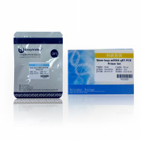 茎环法miRNA RT-qPCR引物：Stem-loop m