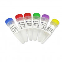VAHTS Universal DNA Library Pr