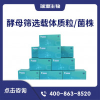 酵母筛选载体质粒/菌株