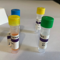 沉淀法 miRNA 分离试剂盒